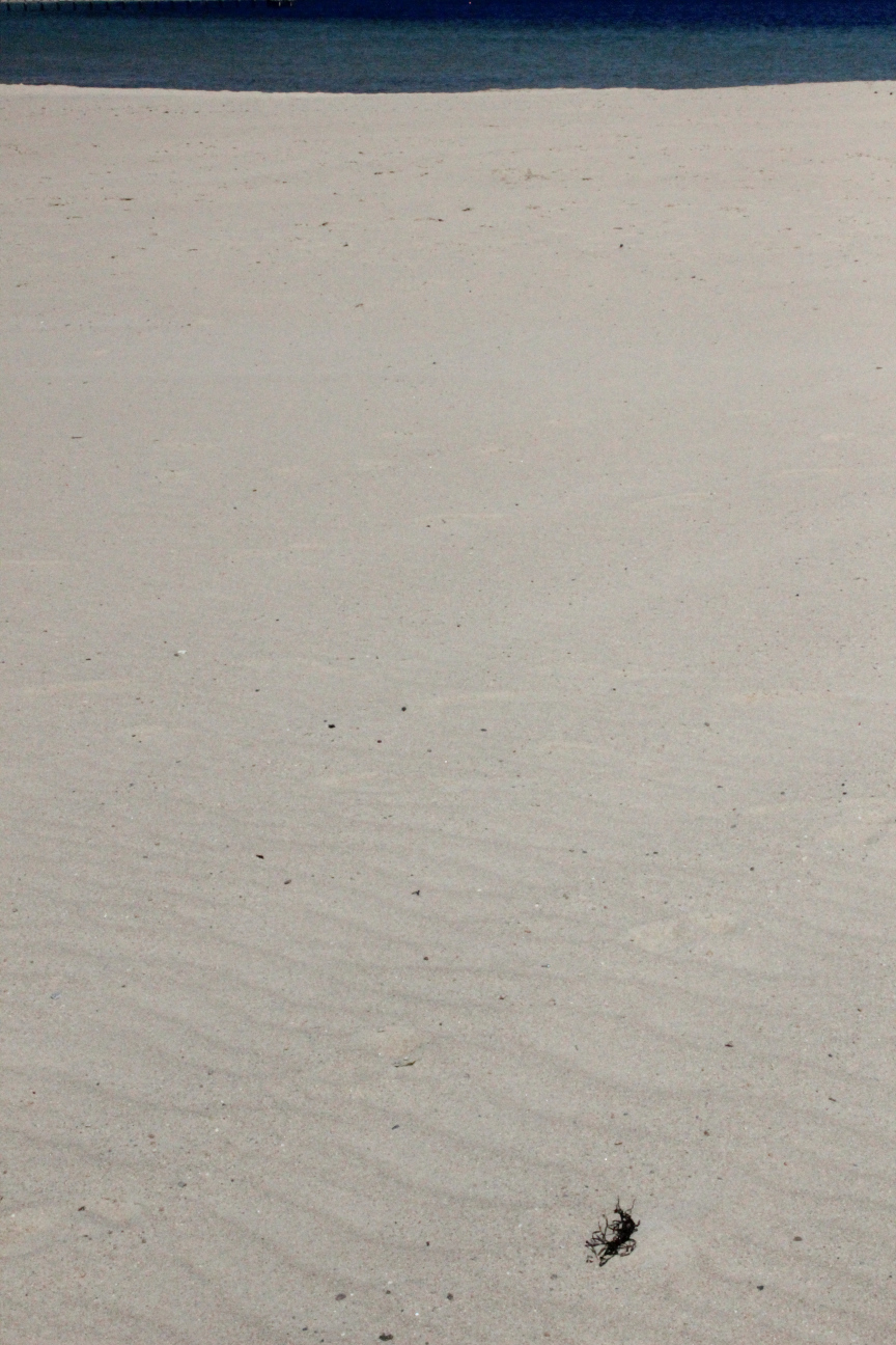 Weite Sandstrandfläche, im Hintergrund ein streifen dunkelblaues Meer.