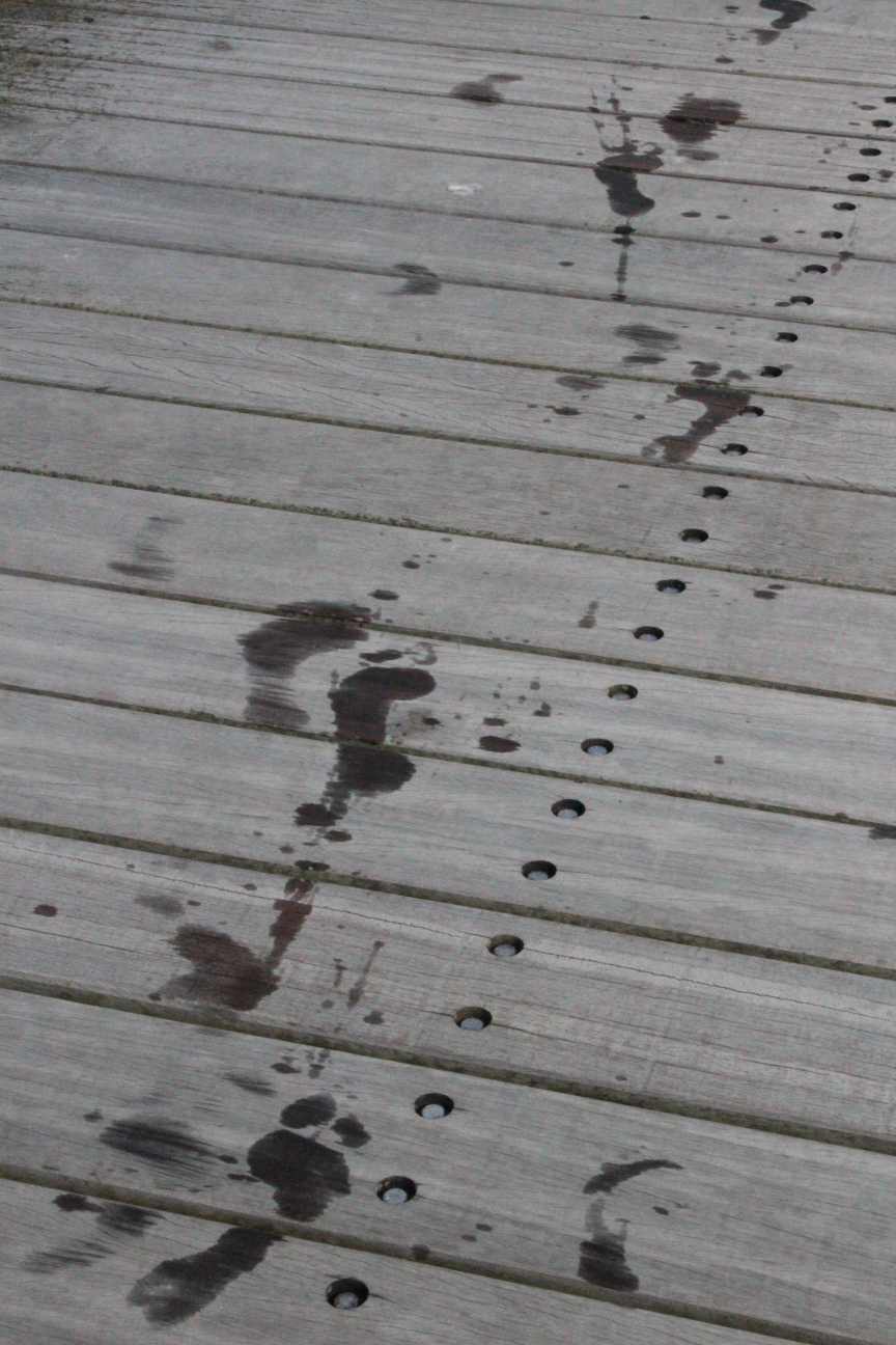 Fußspuren von nassen nackten Füßen auf einem Holzsteg.