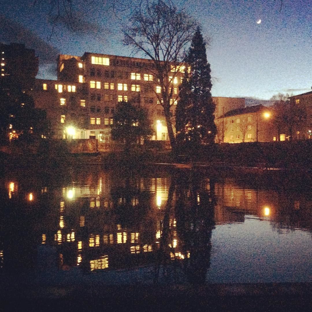 A_long_way_home__watching_bunnies__ducks_and_the_moon__12von12