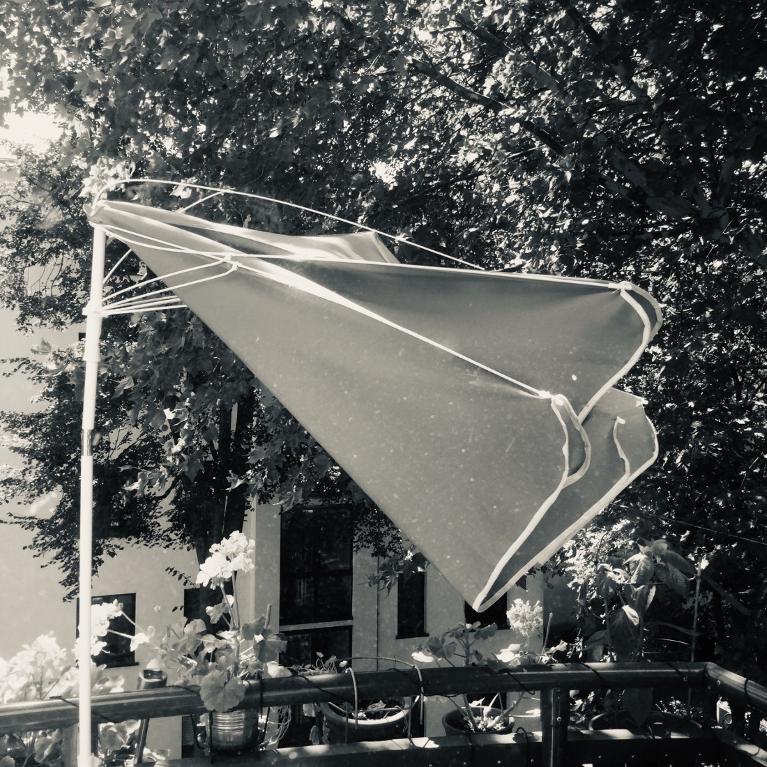 61C5CC3B-28DA-4348-8A8B-3FDE2B677BEA